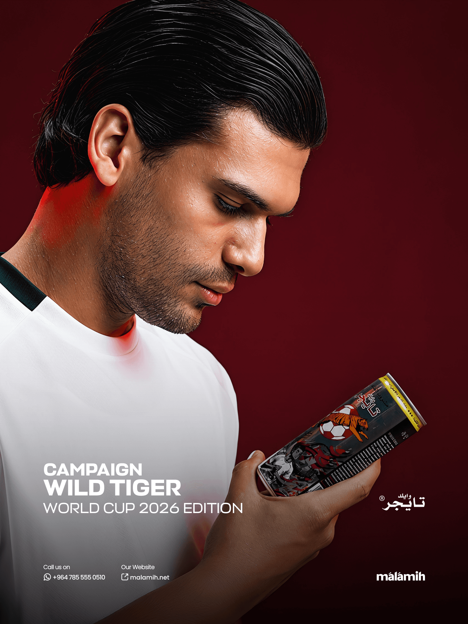Wild Tiger - Integrated Commercial Campaign detail