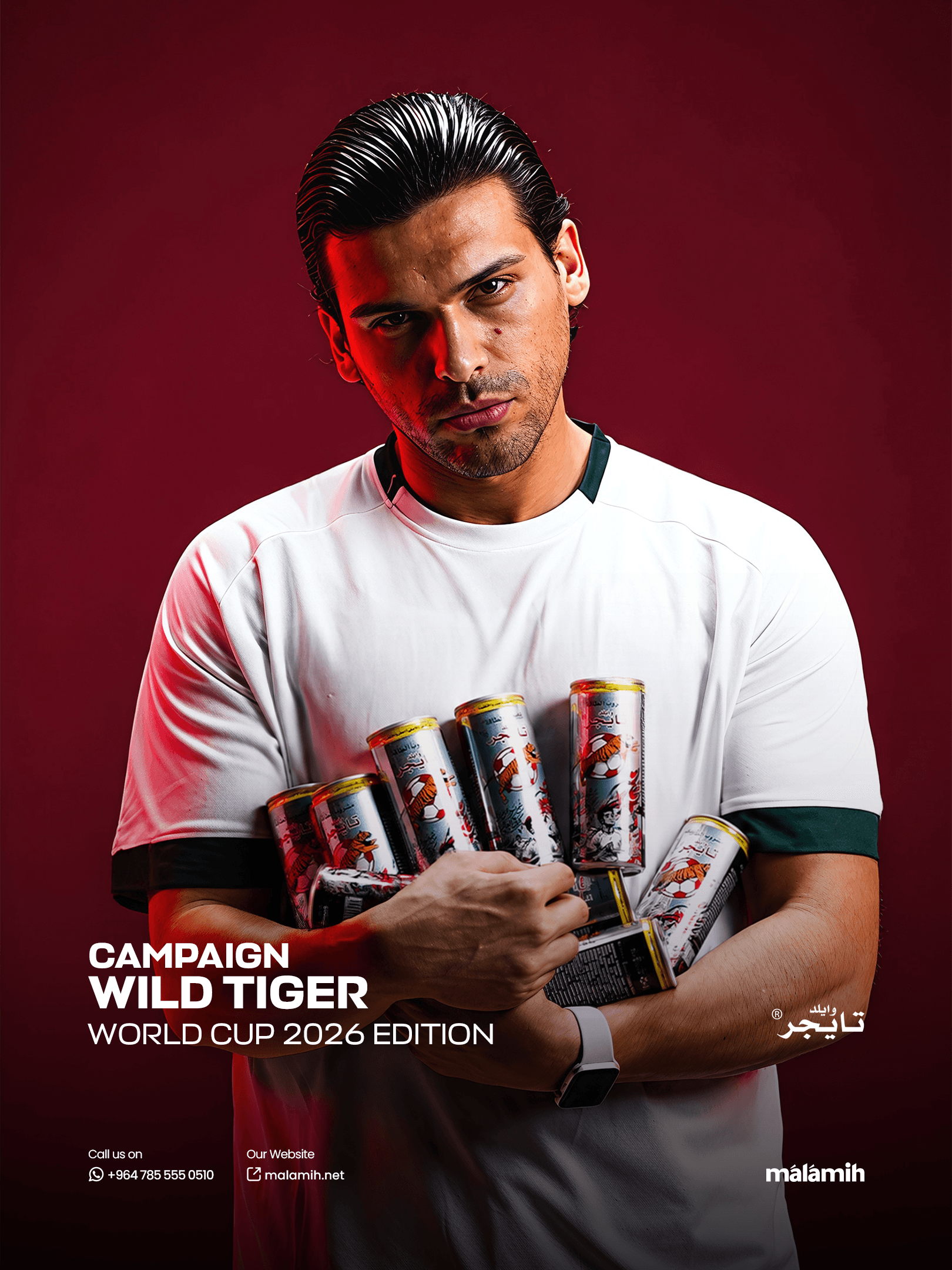 Wild Tiger - Integrated Commercial Campaign showcase