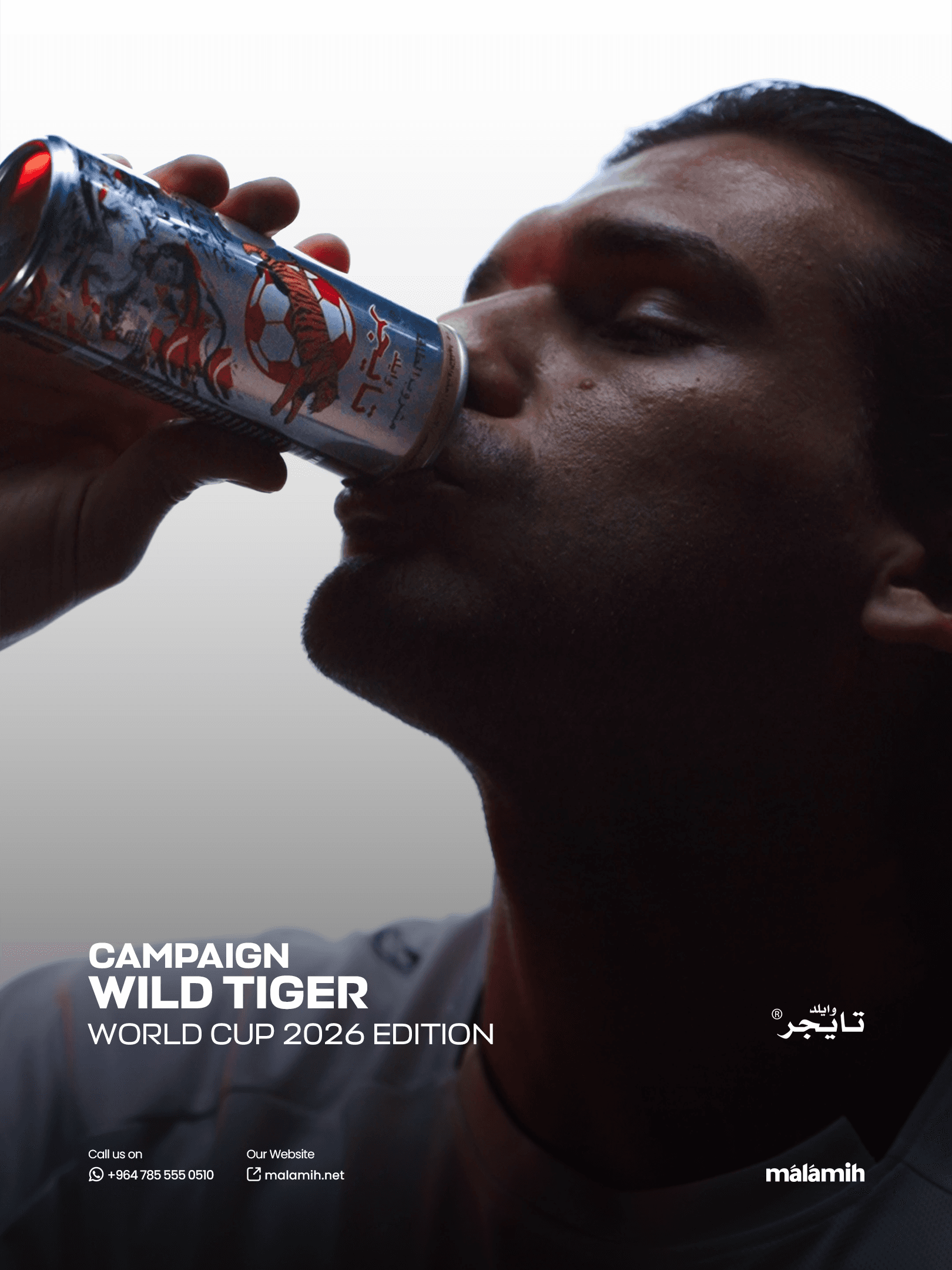 Wild Tiger - Integrated Commercial Campaign final showcase