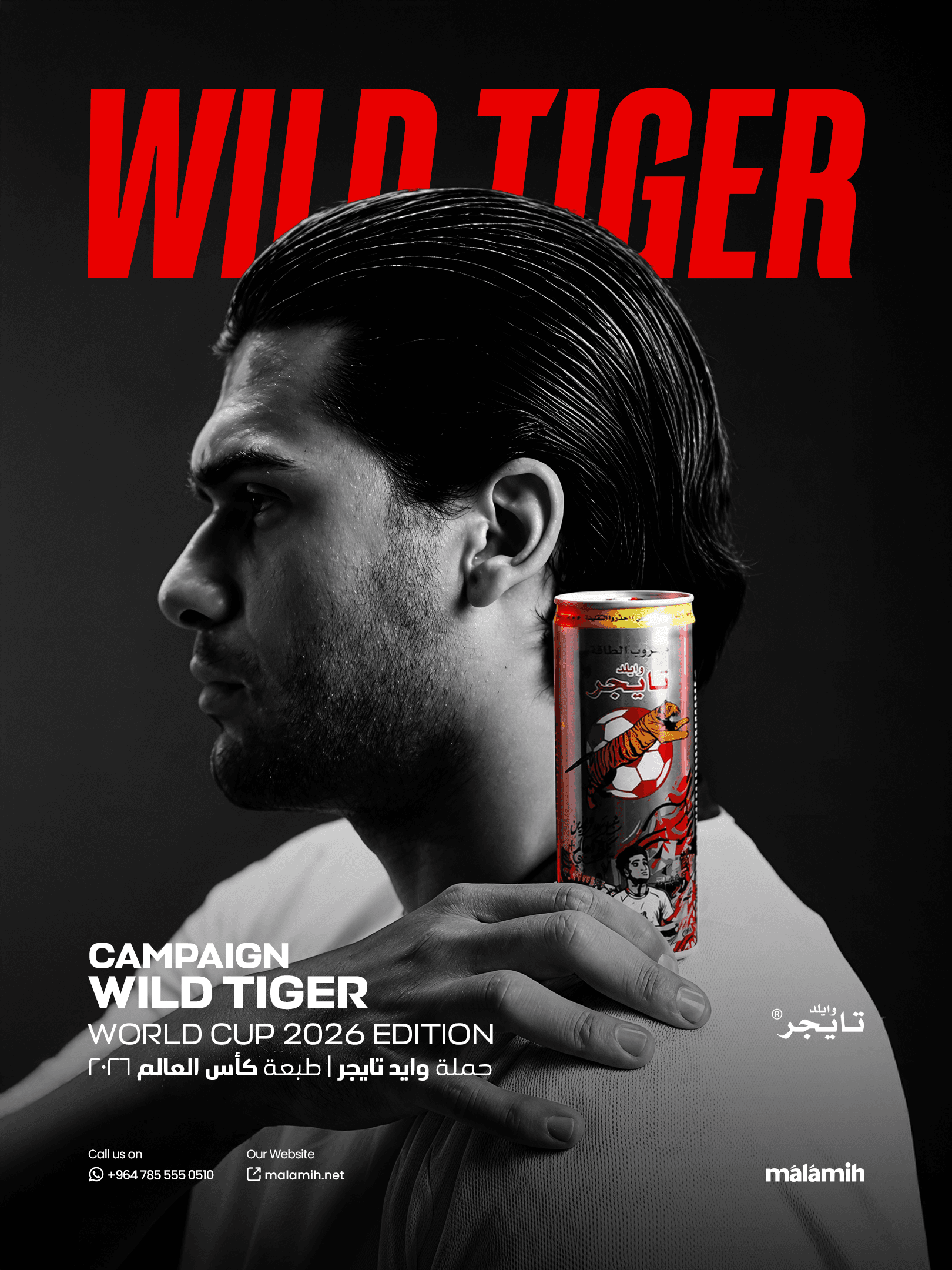 Wild Tiger - Integrated Commercial Campaign showcase