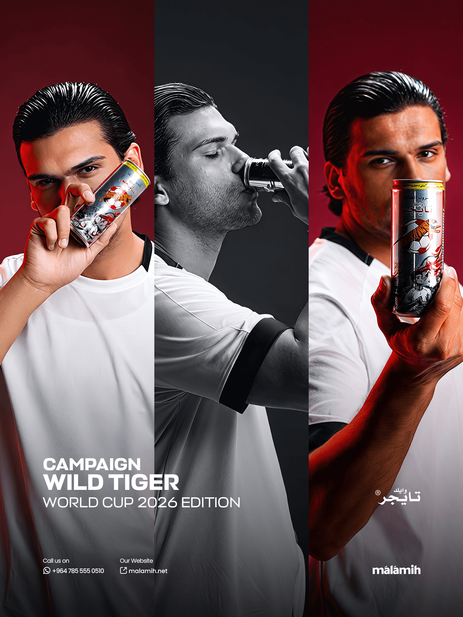 Wild Tiger - Integrated Commercial Campaign detail