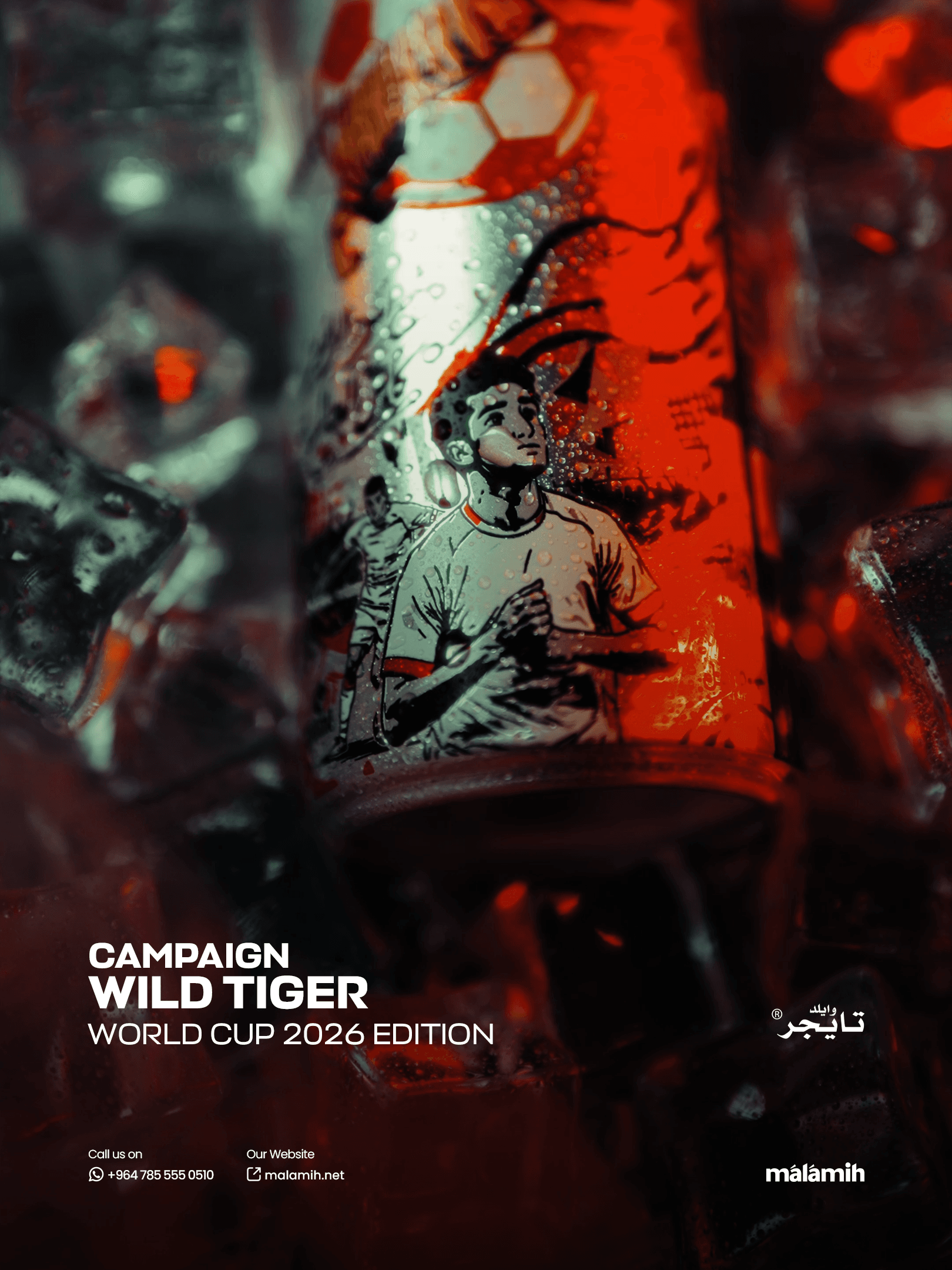 Wild Tiger - Integrated Commercial Campaign detail